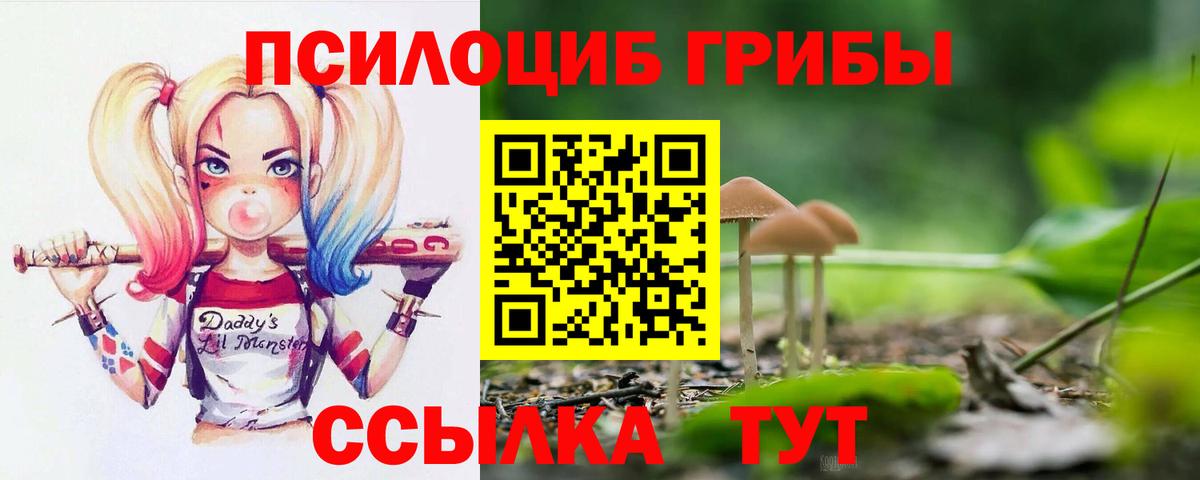 Звенигород  Галлюциногенные грибы Magic Shrooms  продажа наркотиков  Вход с VPN 